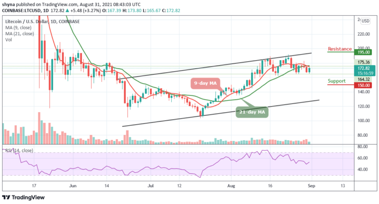 LTC/USD Ready to Reclaim $175?