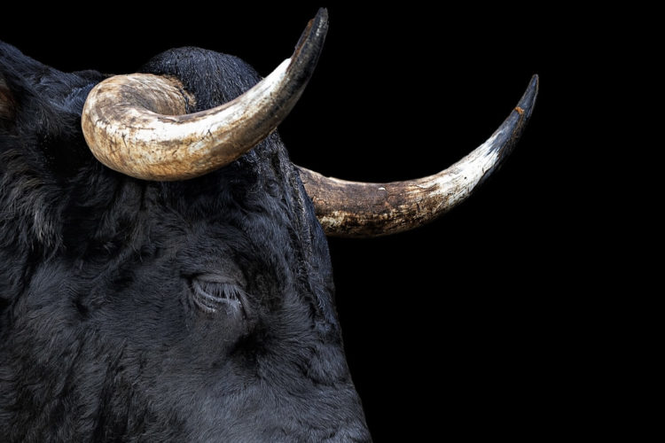 Bullish Options Data Fuels Speculations on New Bitcoin Rally