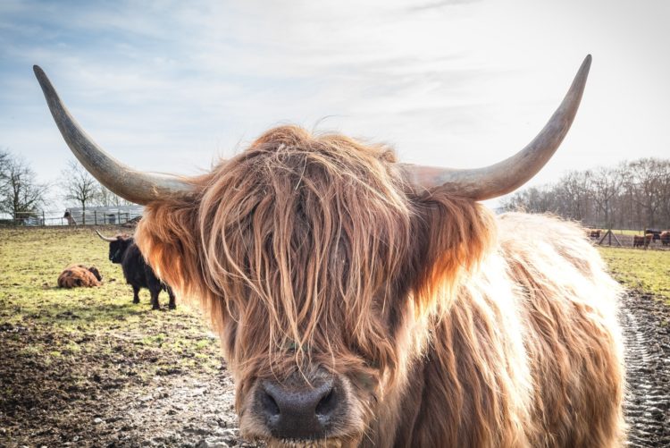 Despite Dip To $44K, On-chain Data Suggests Bitcoin Still Bullish