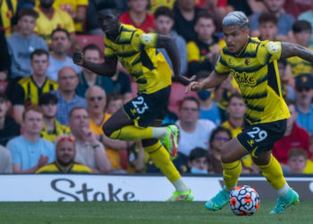 EPL team Watford jumps on Shiba Inu frenzy with Dogecoin promo