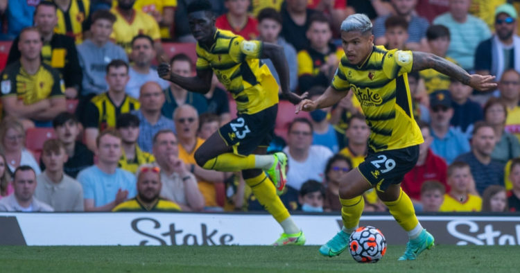 EPL team Watford jumps on Shiba Inu frenzy with Dogecoin promo