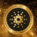 Cardano Successfully Deploys Alonzo HFC, But Why Is Price Down?