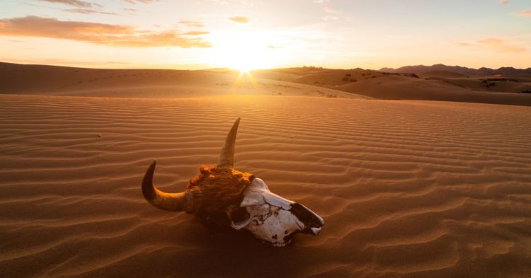 Are We Witnessing the Death of DeFi Tokens? — CoinDesk