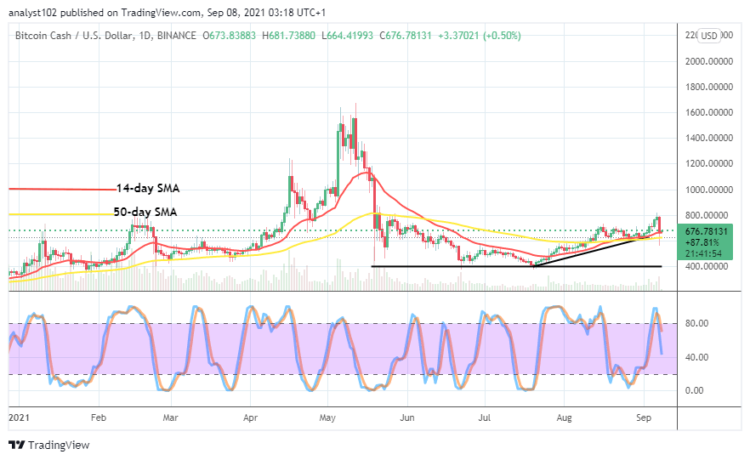 BCH/USD Trading Activity Suffers a Setback