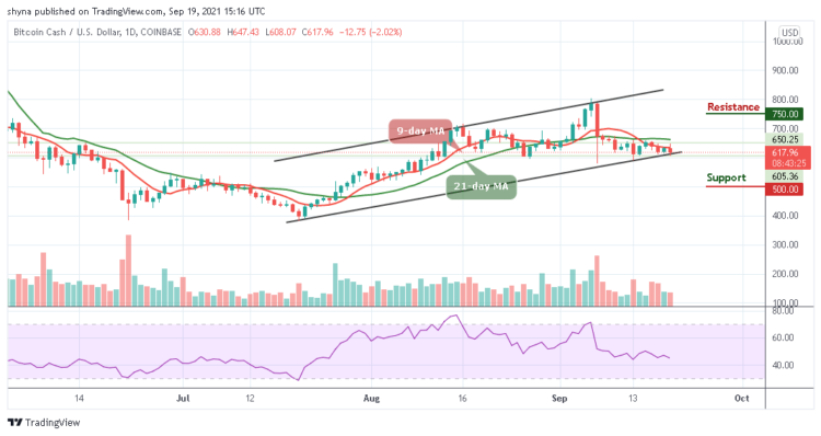 Bitcoin Cash Price Prediction: BCH/USD Trades Below $650