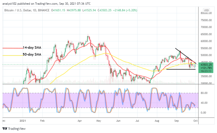 Bitcoin (BTC/USD) Price Averages $45,000 Level