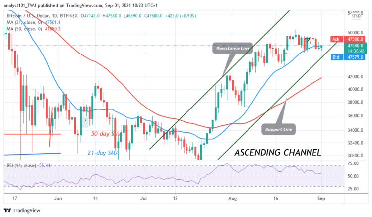 BTC/USD Rallies to $49K as It Reaches a Striking Distance