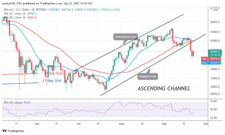 Bitcoin (BTC) Price Prediction: BTC/USD Surges Ahead as Buyers Recoup Above $40k