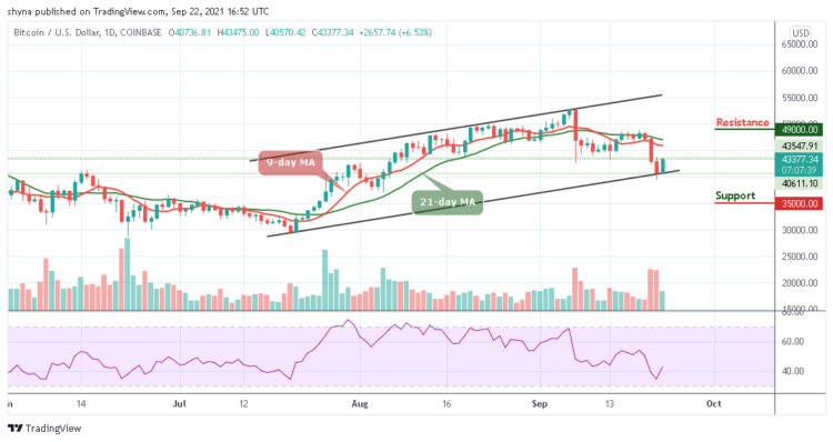 BTC/USD Trades Above $43,000 Level