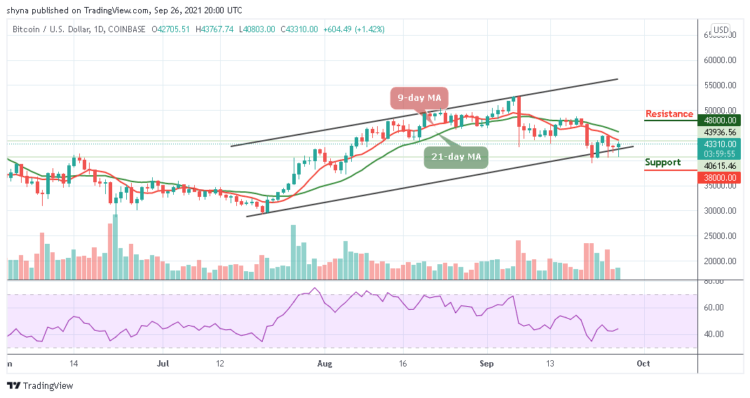 BTC/USD Spikes Above $43,000 Level