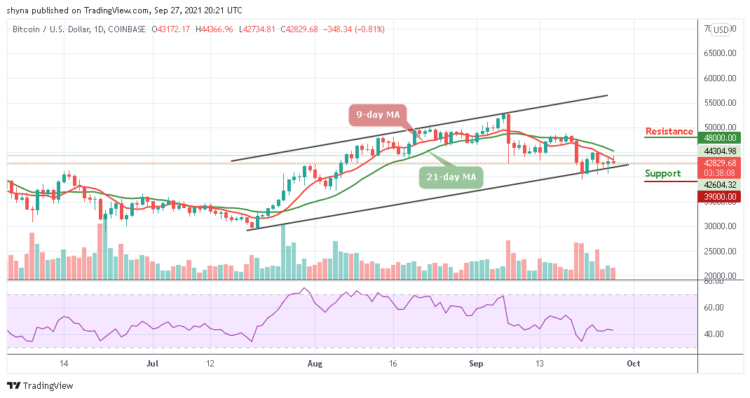 Bitcoin Price Prediction: BTC/USD Consolidates Below $45,000