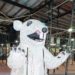 Inflatable Bitcoin Rat Makes Comeback Due To Federal Reserve Ethics Issue