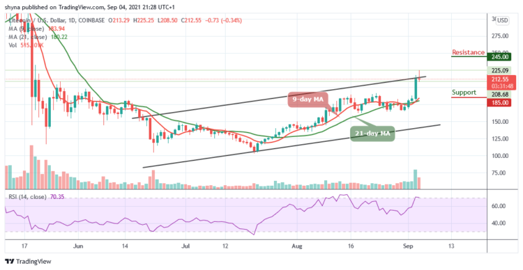 LTC/USD Slips Below $225 Level