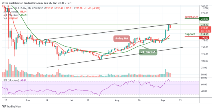 LTC/USD Faces Rejection at $232