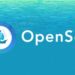 OpenSea Ousts Head Product after Claims of Insider Trading