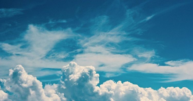 Cardano’s Commercial Arm to Invest $100M in DeFi, NFTs and Blockchain Education