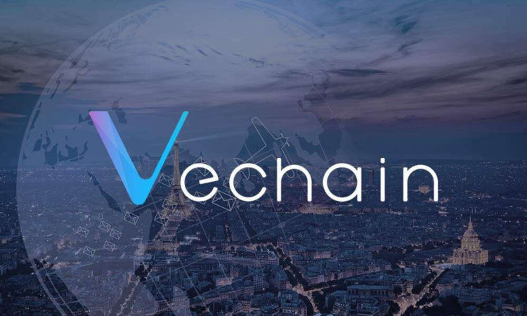 VeChain Price Up 10.9% to $0.137