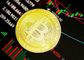 Bitcoin daily transaction volume hits $29 billion ATH, what does this mean?