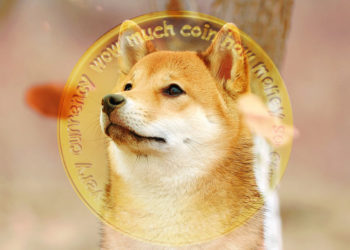 Where now for Dogecoin as the Shiba Inu-inspired token continues to slide?