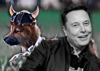 Shiba Inu-inspired ‘Floki Inu’ pumps 250% after Elon Musk names his pet