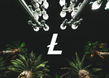 Litecoin Network launches ‘OmniLite’ to facilitate token and NFT creation