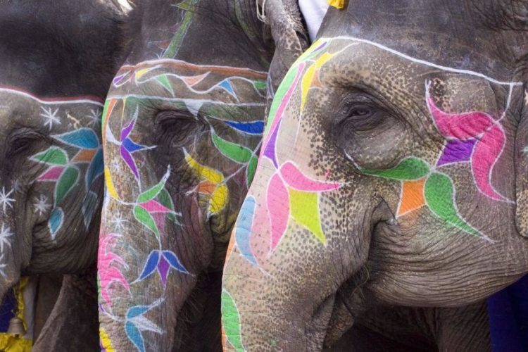 India’s Crypto Market is More ‘Mature’ Than Vietnam’s and Pakistan’s