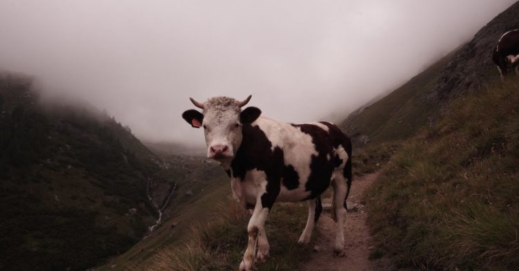 Bitcoin Climbs Above $47K as Stocks Fall and Investors Eye Inflation