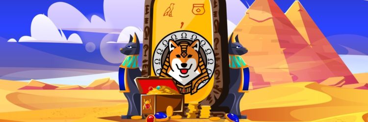 Dog-Themed DeFi Project Mysteriously Loses Fundraised $60 Million