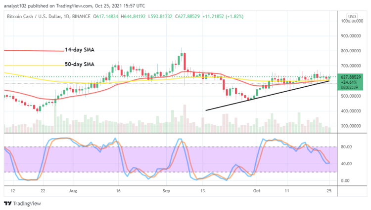 BCH/USD Market Concurrently Holds at $600
