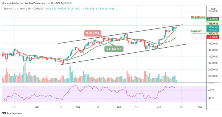 BTC/USD Begins Fresh Rally to $60,000 Level