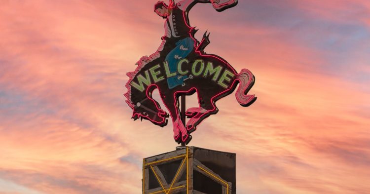 Stellar and Cardano Show the Power of College Partnerships