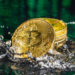 Analyst calls 100 days of Bitcoin greed as ‘cooling period’ comes to an end