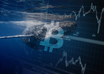 On-chain data shows Bitcoin (BTC) whales are ‘hodling’ on as BTC nears $60,000