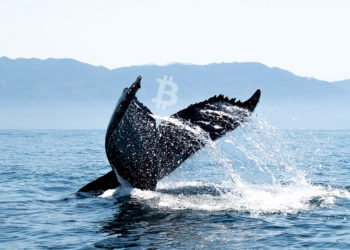 Third largest Bitcoin whale purchases BTC worth $37.5 million