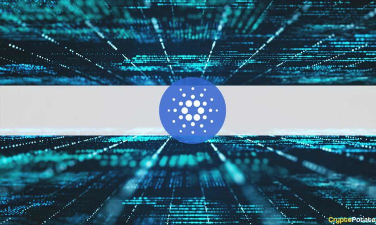 Grayscale Report Shows The Good, The Bad, And The Ugly Of The Cardano Network