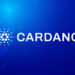 Here’s why Cardano (ADA) average transaction fees are up 1,500% in the past year