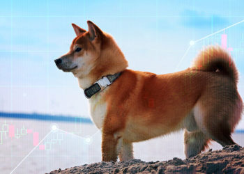 Shiba Inu (SHIB) whales are responsible for 300% price jump