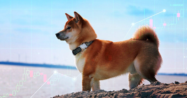 Shiba Inu (SHIB) whales are responsible for 300% price jump