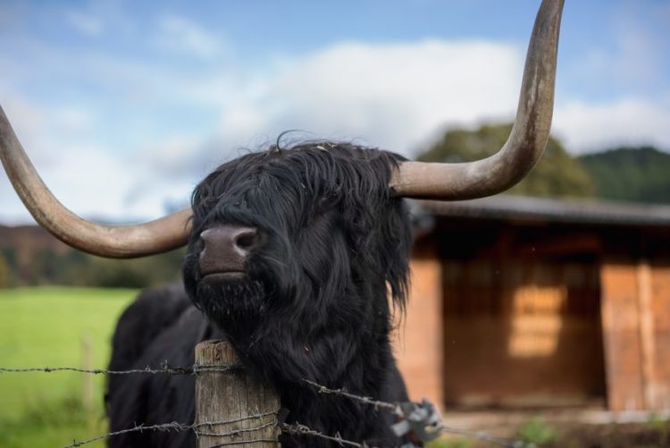 Despite New ATH, Bitcoin Exchange Reserves Continue To Decline