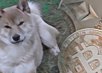 Shiba Inu (SHIB) jumps 7% while Bitcoin, Ethereum trade sideways