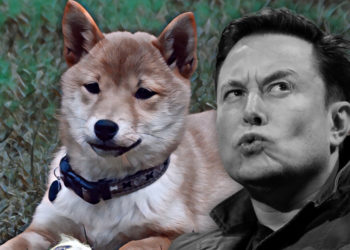 Shiba Inu-inspired crypto coins see price spike following Musk’s latest tweet
