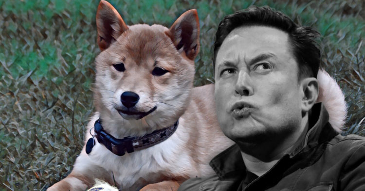 Shiba Inu-inspired crypto coins see price spike following Musk’s latest tweet
