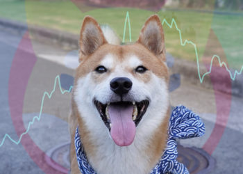 Shiba Inu (SHIB) storms up crypto rankings suggesting meme coins aren’t done yet