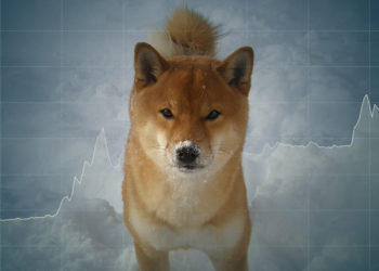 Shiba Inu (SHIB) defies critics with buoyant NFT demand and new all-time high