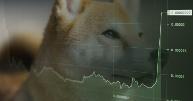 Shiba Inu (SHIB) jumps another 74% in seventh consecutive green day