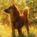 Analysts say these reasons were behind Shiba Inu’s (SHIB) 300% rise last month