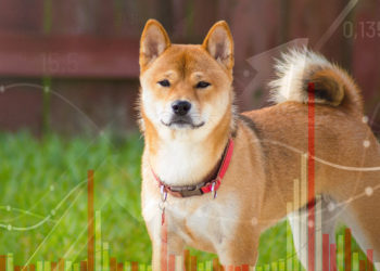 Shiba Inu (SHIB) trading volume surpassed that of Ethereum (ETH) on Sunday