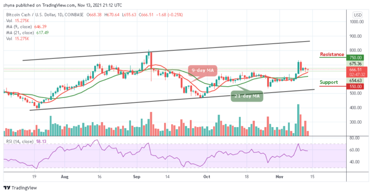 BCH/USD Is Down Slightly by 0.25%
