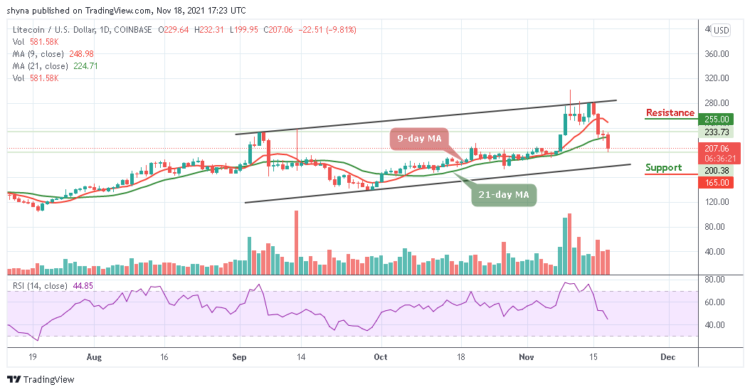 LTC/USD Drops Below $230 to Experience More Downtrends