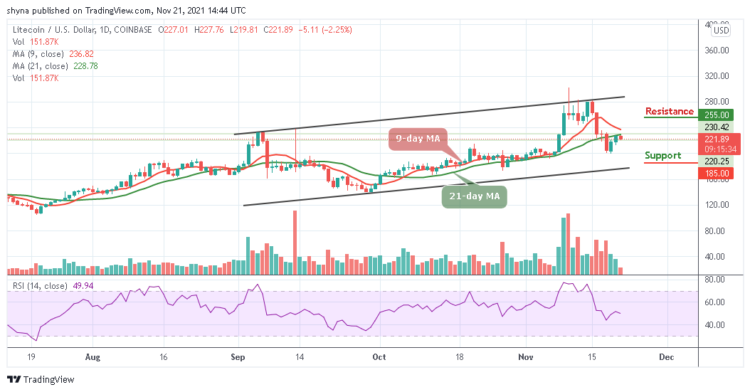 LTC/USD Slips Below $220 Level
